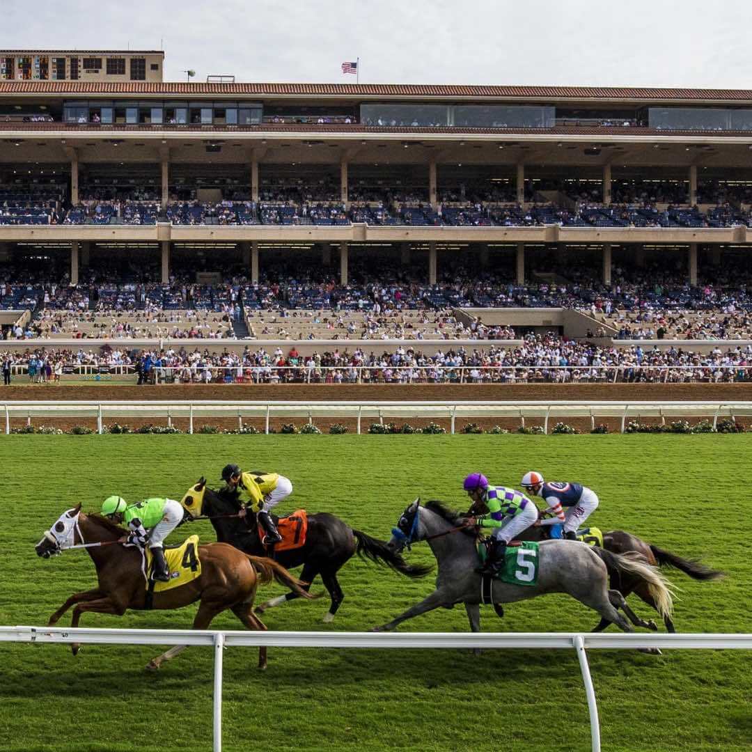 Jockeys race down a grassy track at the Del Mar Racetrack, with a grandstand of spectators in the background.