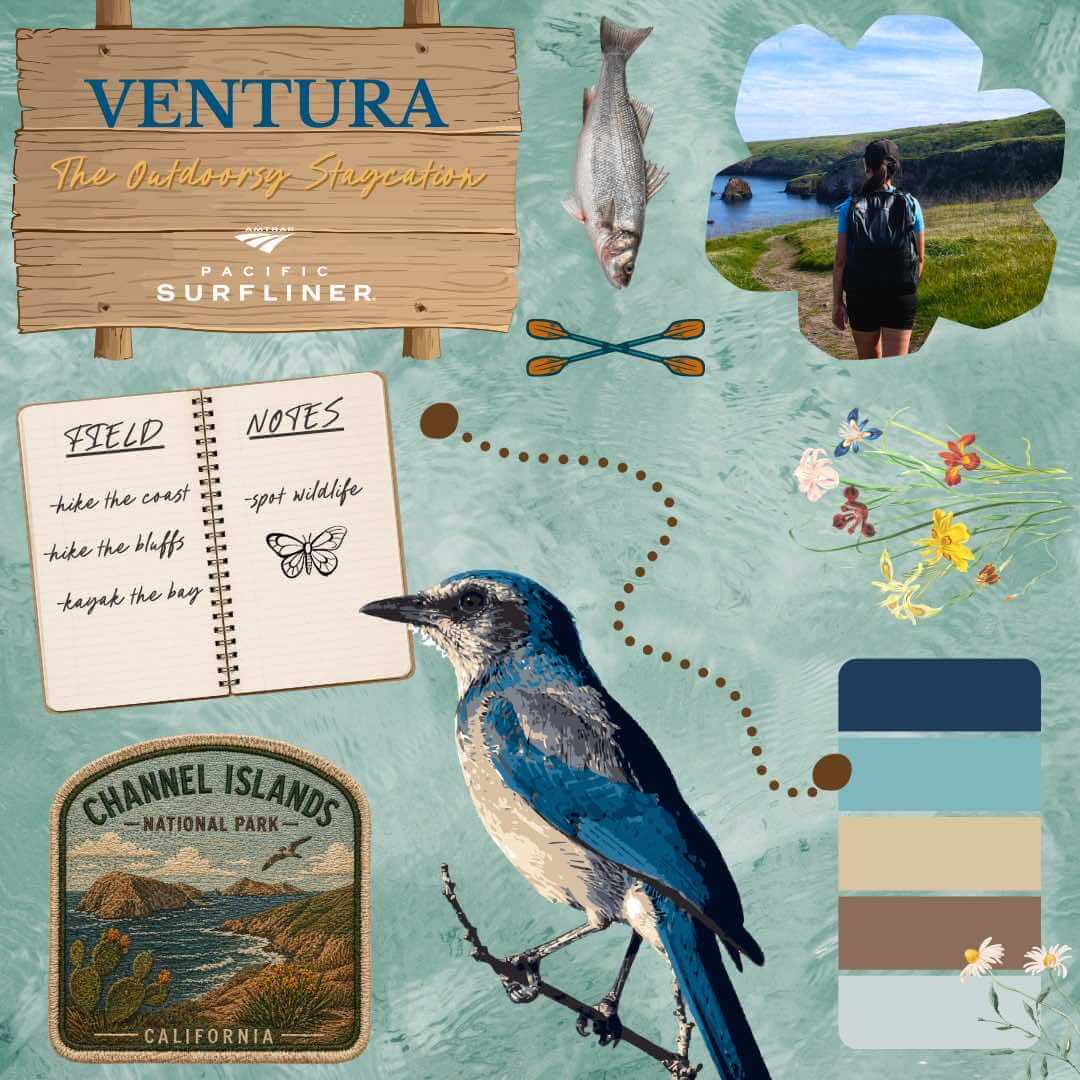 Ventura and Channel Islands staycation mood board with hiking, wildlife, and coastal views for a car-free trip.