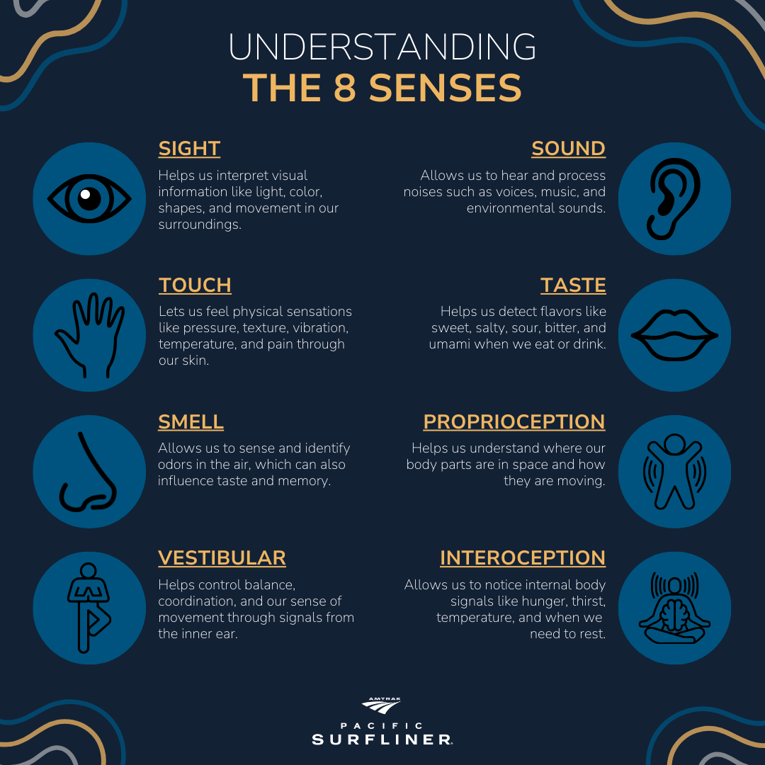 Graphic outlining the 8 senses: sight, sound, touch, taste, smell, proprioception, vestibular, and interoception.