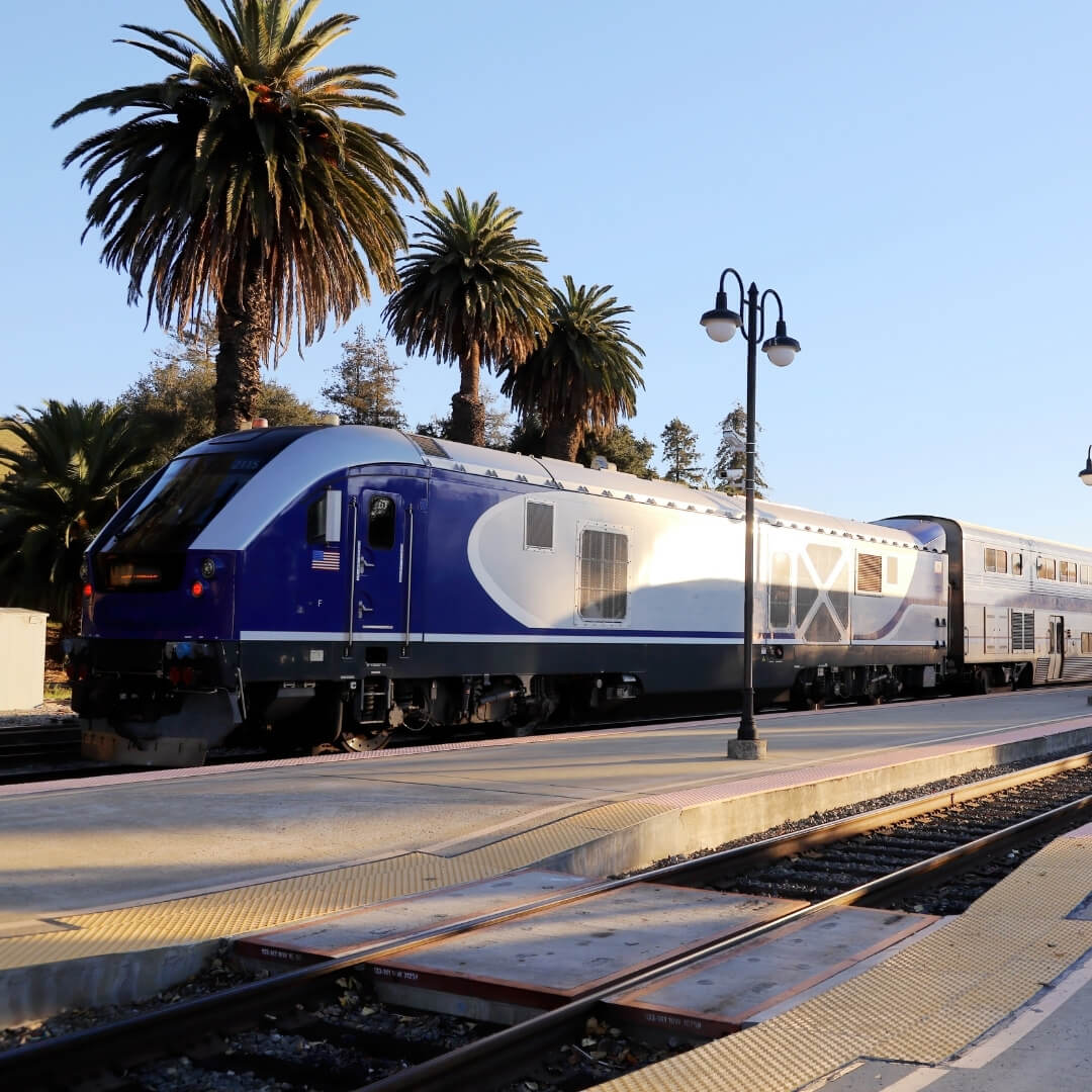 An Amtrak Pacific Surfliner train pulling into the palm tree-lined tracks at the San Luis Obispo Amtrak station.